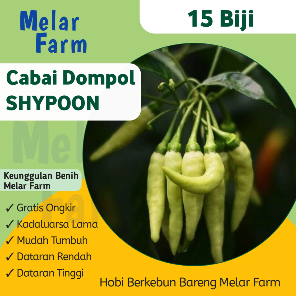 Melar Farm - 15 Bibit Cabe Rawit Shypoon Hibrida HABANERO