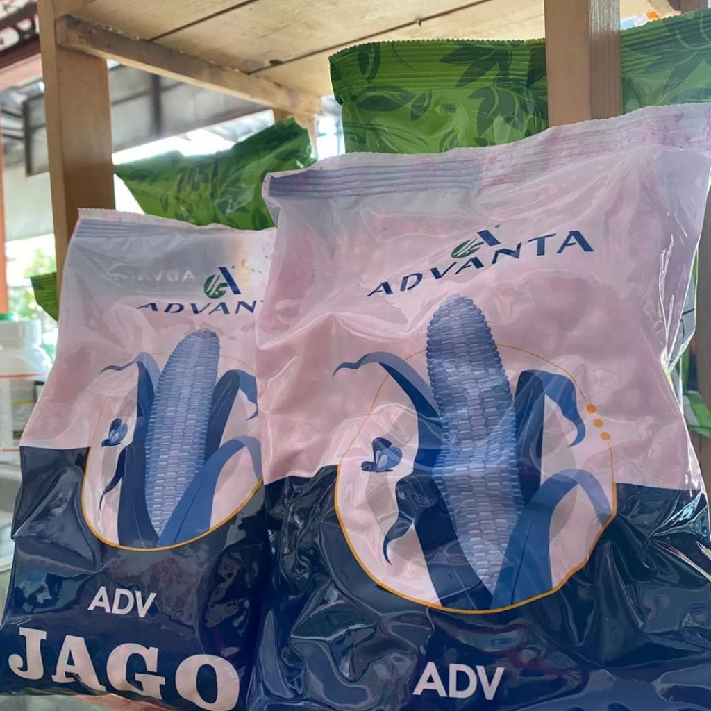 NV87UJ Benih Jagung hibrida ADV JAGO 1Kg