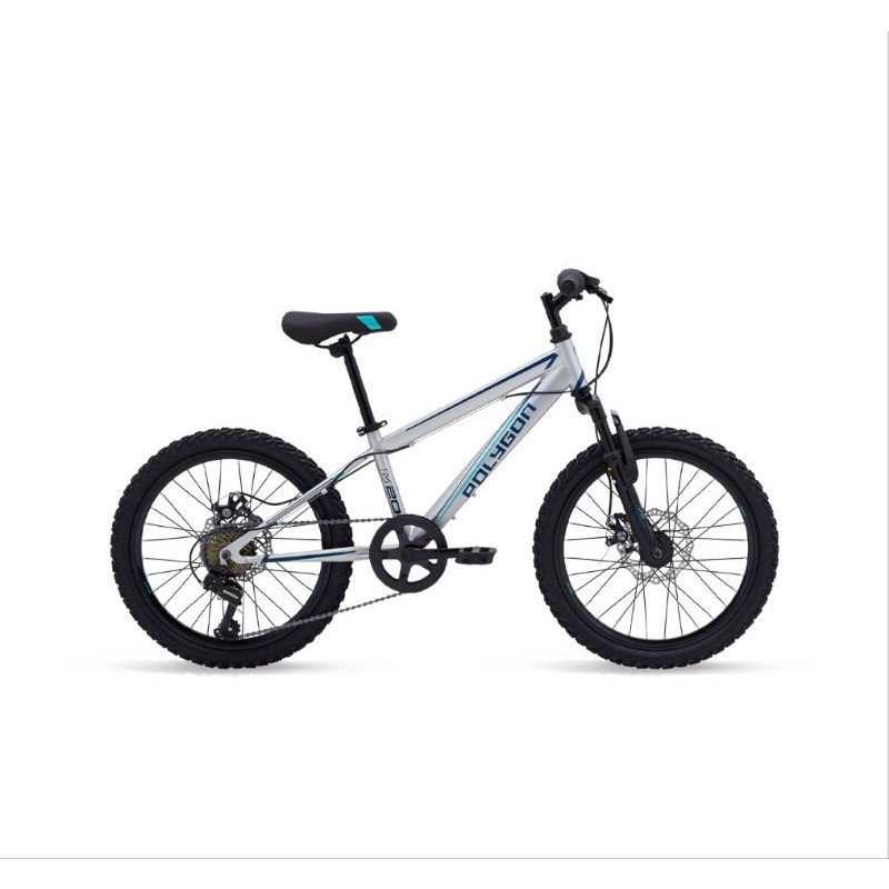 Sepeda MTB 20 inch POLYGON MAZE sepeda anak laki laki Polygon