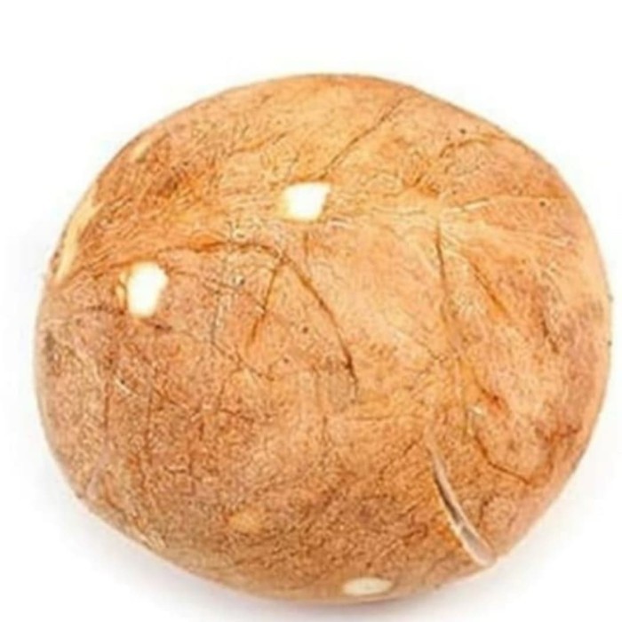

KELAPA UTUH BUTIR