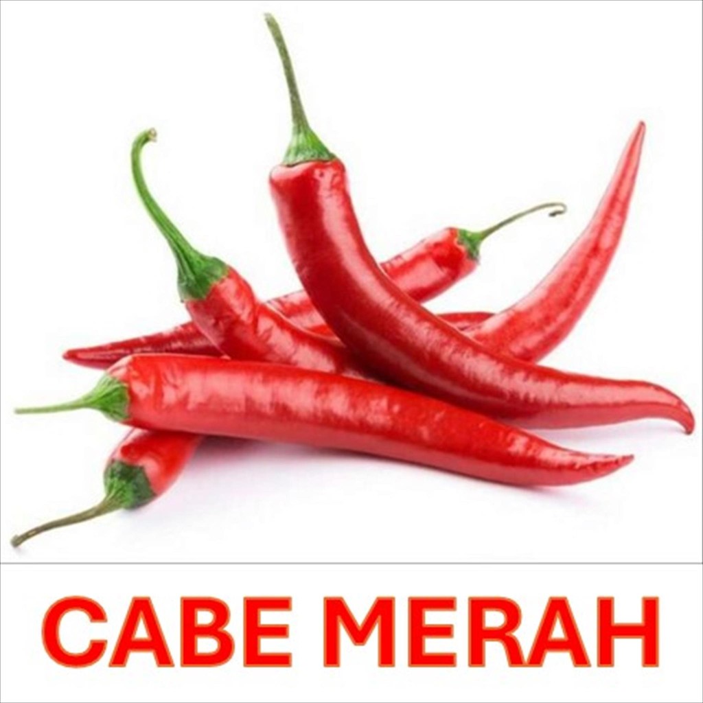 

CABAI MERAH BESAR / CABE BESAR / FRESH / HARGA PASAR / HARGA PER 100 GR