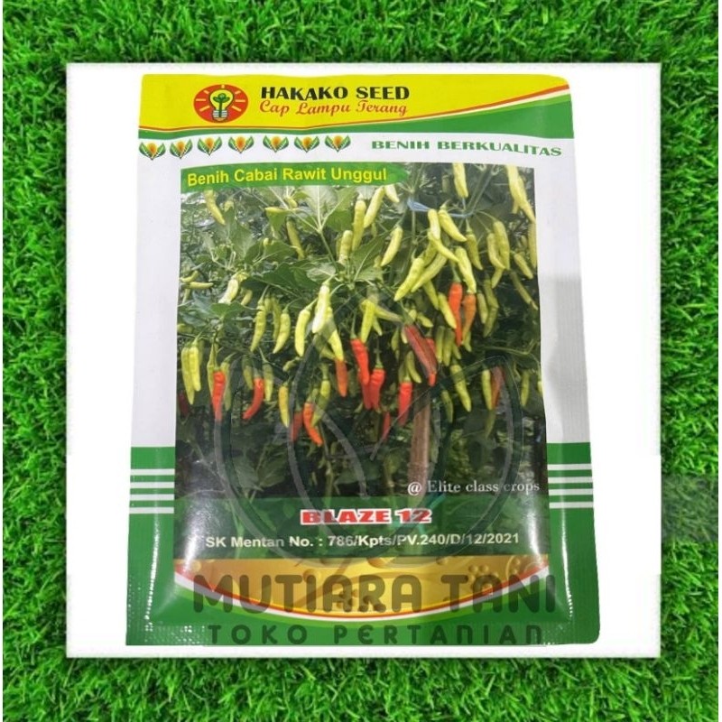 New CABAI RAWIT GENJAH BLAZE 10gr HAKAKO SEEDS CORP premium