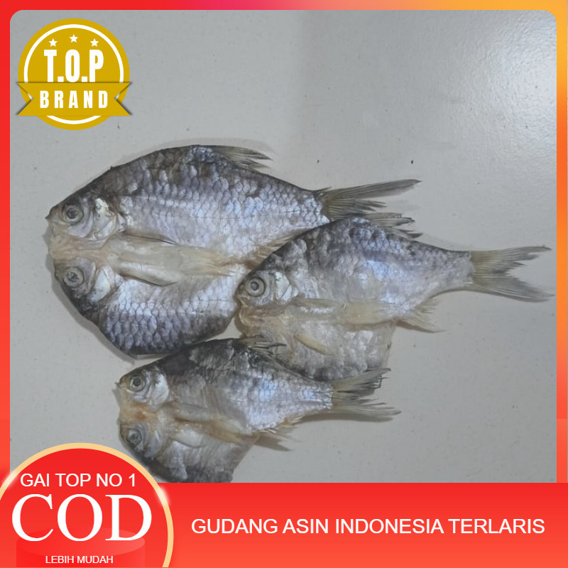 

BEST SELLER ikan asin rawa balasit 250 gr