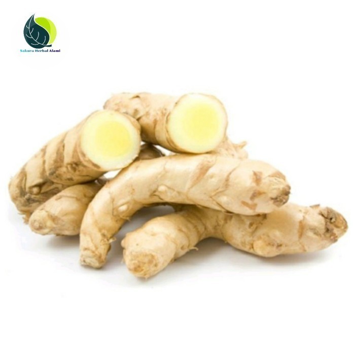 

1kg kunyit putih atau temu putih segar herbal