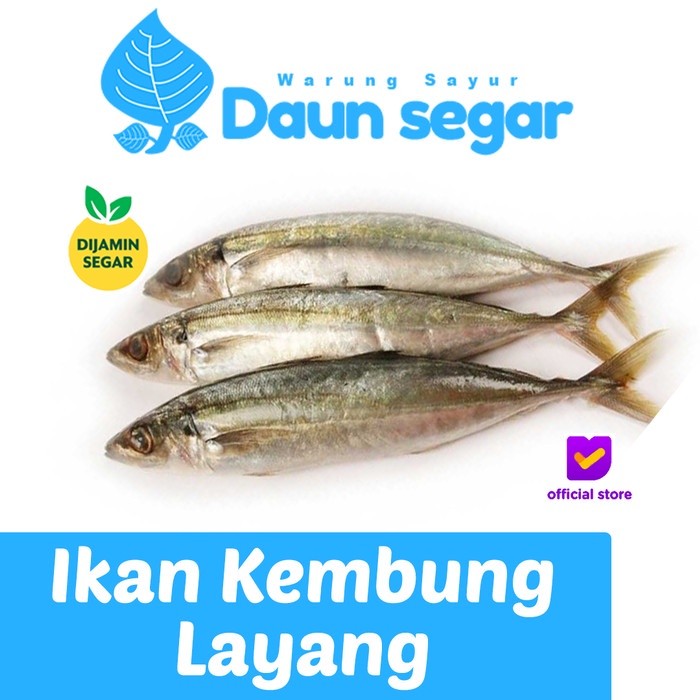 

ikan Kembung Layang 500gram 4-6 ekor