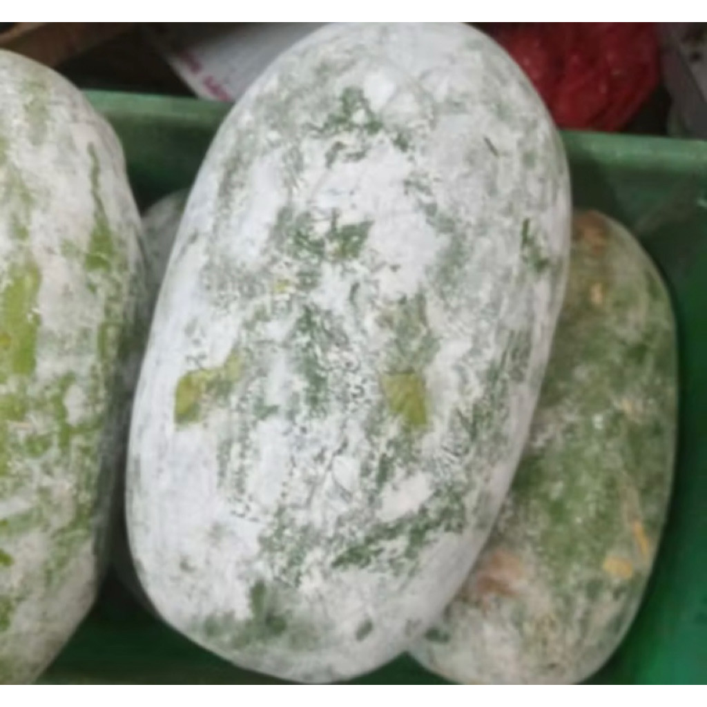 

PASAR SEGAR - LABU KUNDUR / BUAH BLIGO UTUH 1 BUAH 1kg - 1,5kg