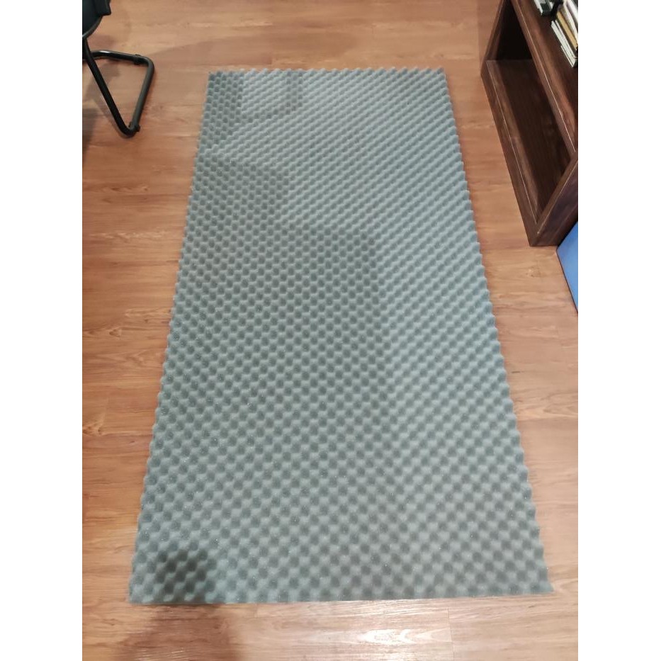 Busa peredam suara telur