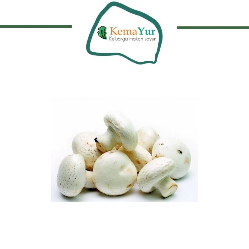 

JAMUR KANCING KEMASAN PER PACK