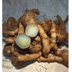 

kunyit hitam pilihan. temu hitam alami . obat tradisional untuk kesehatan 1000 gram