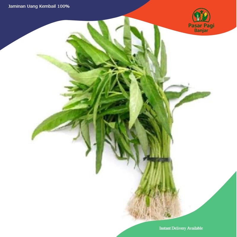 

Kangkung Segar Per Ikat