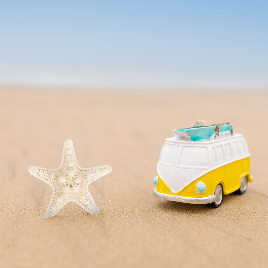 

2pcs Materials Ginger Yellow for Jewelry Aquarium Decoration Lightweight Compact Crafts Making Sea Star