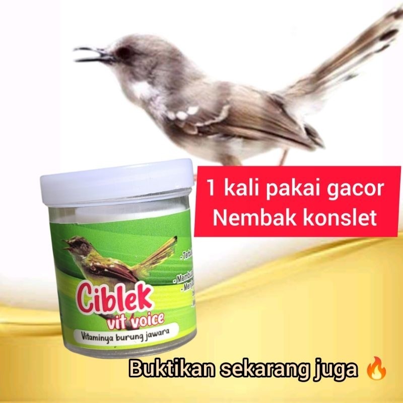 vitamin premium burung ciblek  ciblek vit voice penggacor burung ciblek bahan, macetan atau drop men
