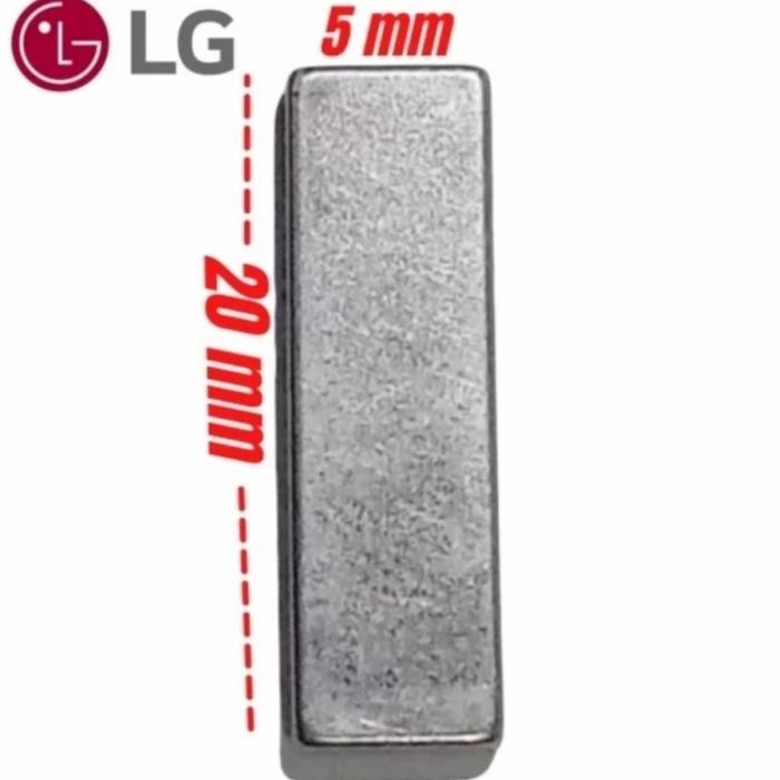 Magnet pintu mesin cuci LG Top Loading Original