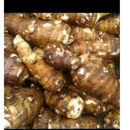 

Redy Umbi talas puln 1kg untuk olahan kripik dll