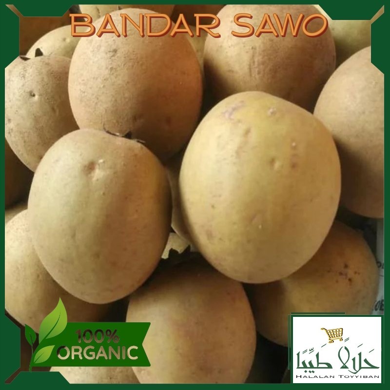

BANDAR Buah Sawo SUPER 1KG (REGULER & KARGO)