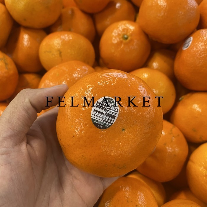 

Jeruk Empress Australia Manis Segar / Buah Jeruk Mandarin Empress / 1 Kg