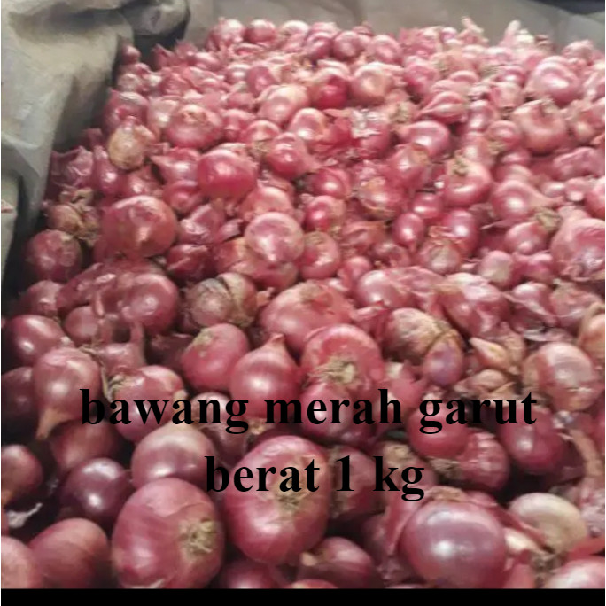 

Bawang Merah 500 gr Asli Garut / UMKM lokal dari Garut