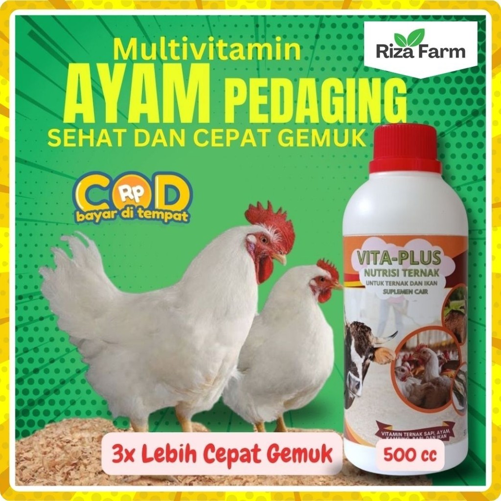 Vitamin Penambah Nafsu Makan dan Penggemuk Ayam Pedaging, Broiler Kampung Petelur dan Ayam Potong