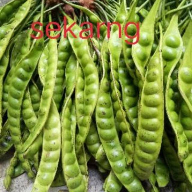 

Pete papan 1 papan 4500