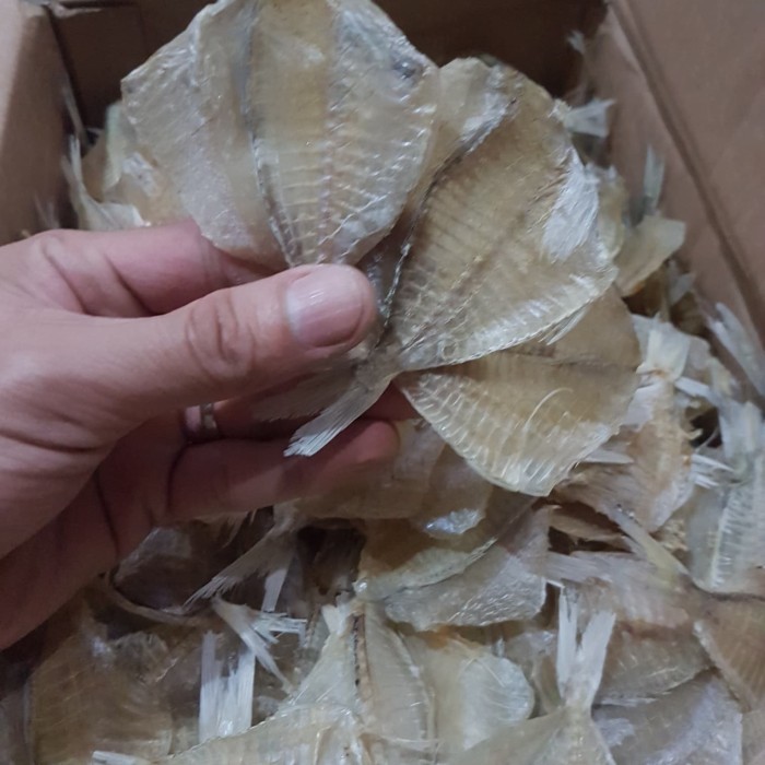 

kapasan tawar super kualitas no 1 500gr