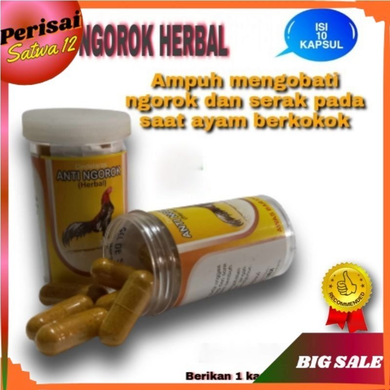 OBAT NGOROK HERBAL AMPUH MENGOBATI AYAM NGOROK SERAK SUARA MENGECIL