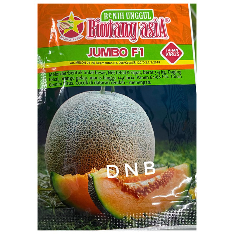 Benih melon JUMBO F1 20 gr BINTANG ASIA