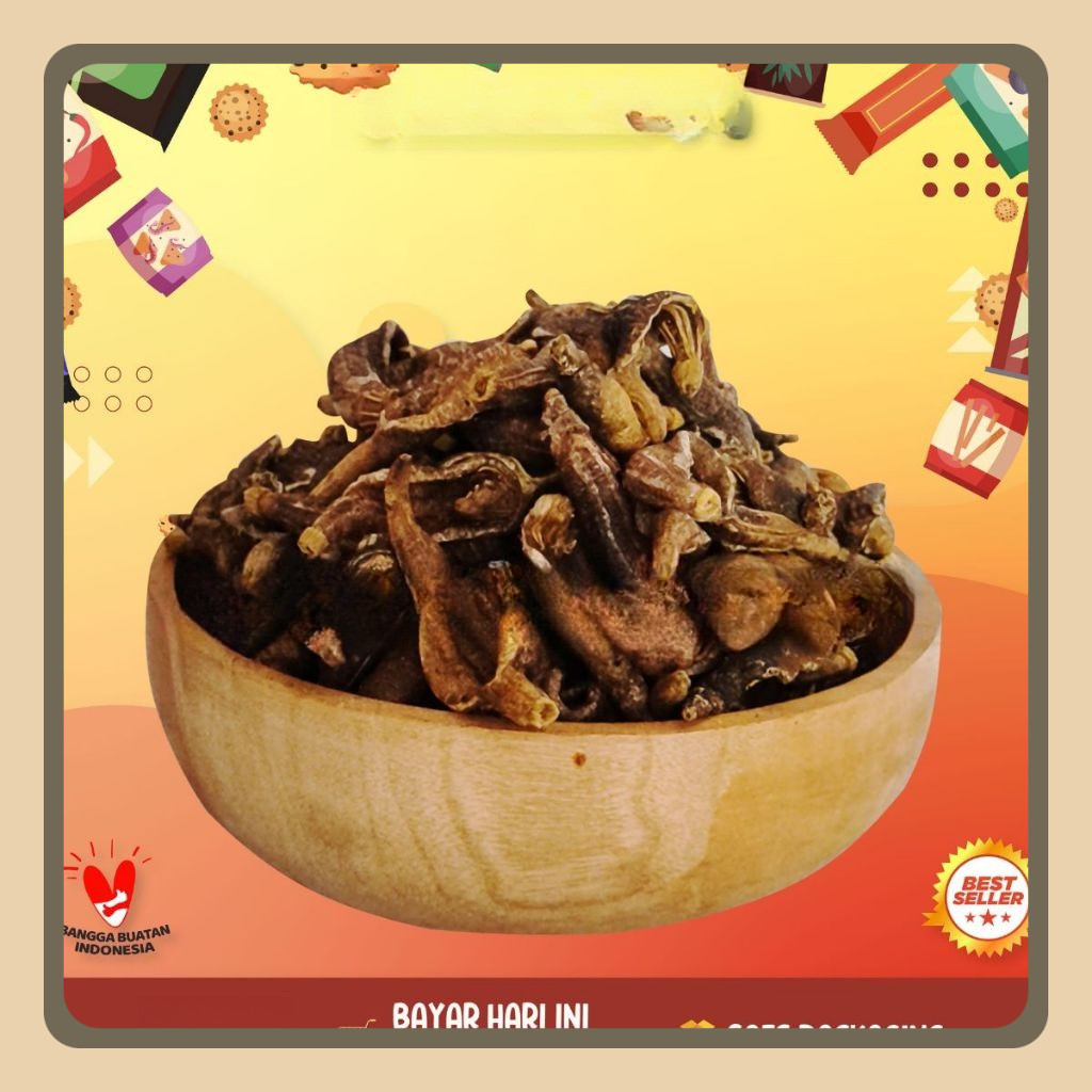 

[250GRAM] Kerupuk Teripang Hitam Siap Makan - 250gram / Keripik Tripang Terung Blonyo Gurih Renyah / Timun Laut Matang / Oleh - Oleh Khas Kenjeran