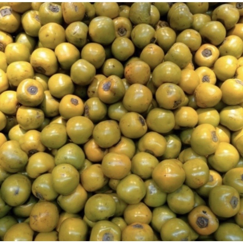 

Buah Kesemek Lokal 1 kg