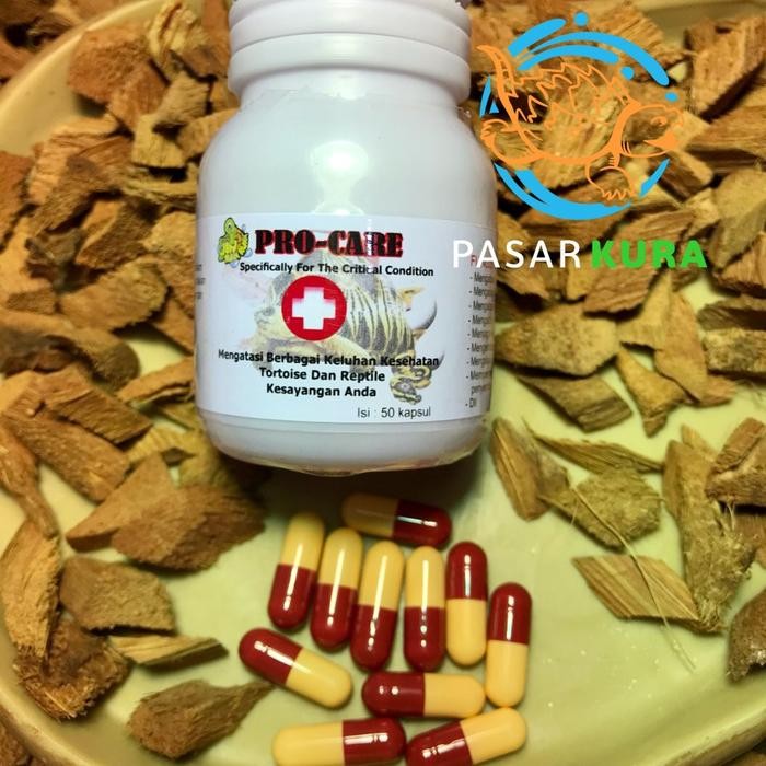JKK Pro Care Obat Reptil Kura Sulcata Pro Care Obat Sakit Torto Kura