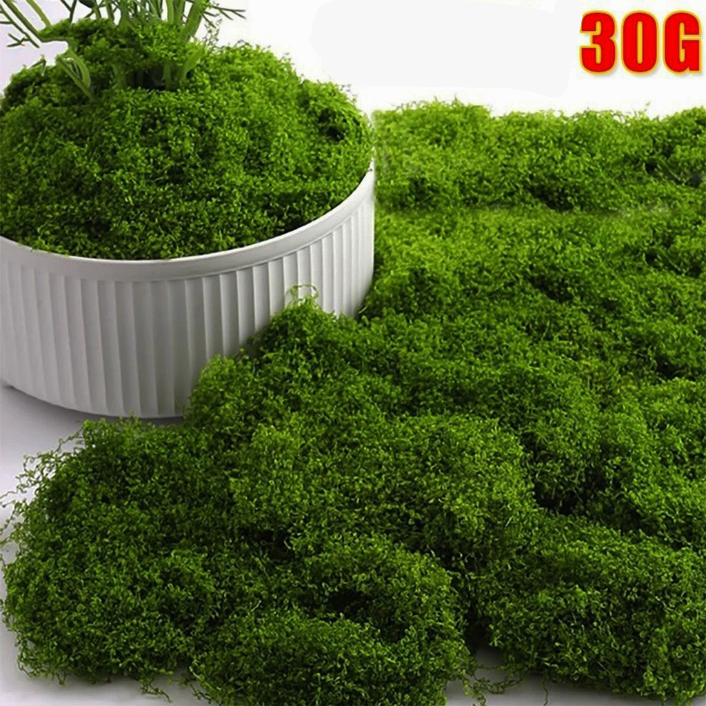 30g rumput sintetis aquascape Aquarium | TAwetan Tahan Lama rumput sintetis aquascape jadi