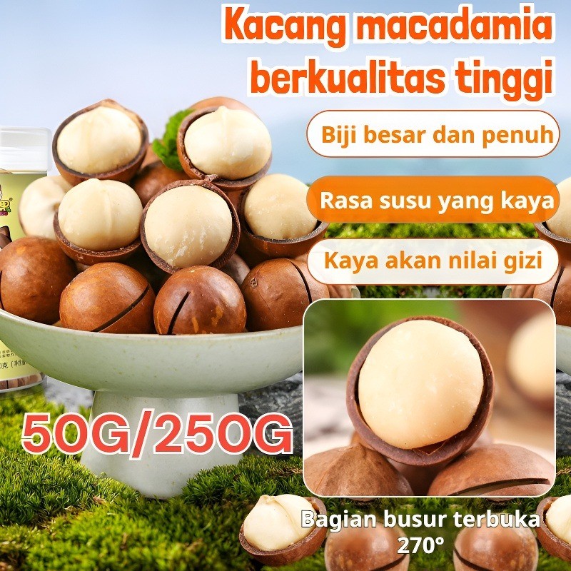 

❤️【Gratis Ongkir】Kacang Rasa Susu Besar Dan Renyah/ Kacang Macadamia Super Besar /Super Besar Kacang Macadamia Premium / ✅Kaleng Tersegel✨