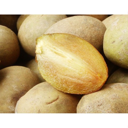 

[RS] Buah sawo manila tua siap matang fress petik harga /1 kg.