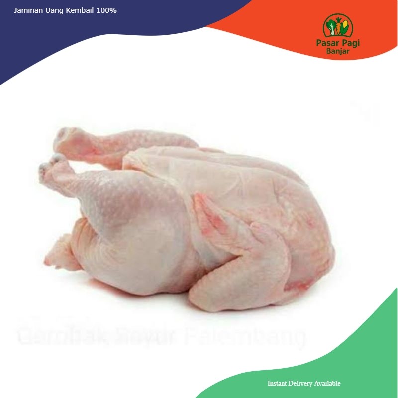 

Ayam Segar Kecil / Ayam Potong Kecil