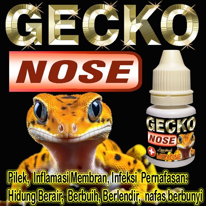 GECKO NOSE OBAT PENYAKIT PERNAPASAN REPTILE LEOPARD GEKO PILEK HIDUNG BERAIR BERLENDIR BERBUIH MENGO