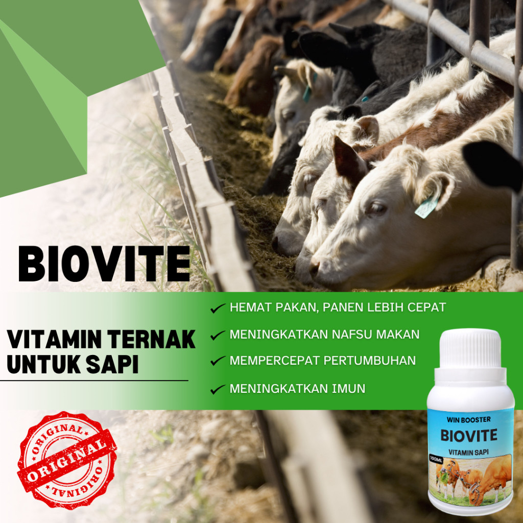 BIOVITE, Penggemuk sapi 100% Vitamin Hewan Ternak Aman, VITAMIN KHUSUS TERNAK SAPI