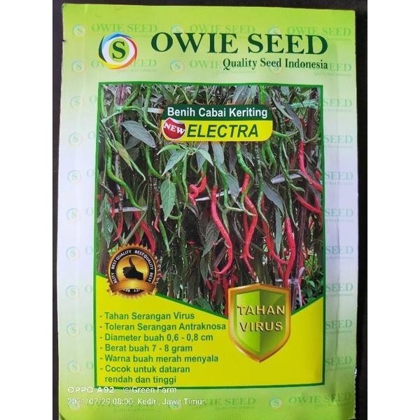 Owie Seed Benih Cabe Electra 15gr Produksi Melimpah Tahan Virus