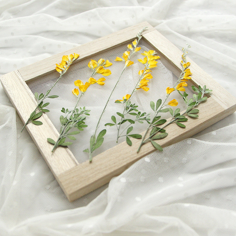 

24pcs/8-15cm,nature Pressed Real Flower Branches,Goldenbird Dry Flower DIY Photo Frame Painting Epoxy Mobile Case Petals Makeup