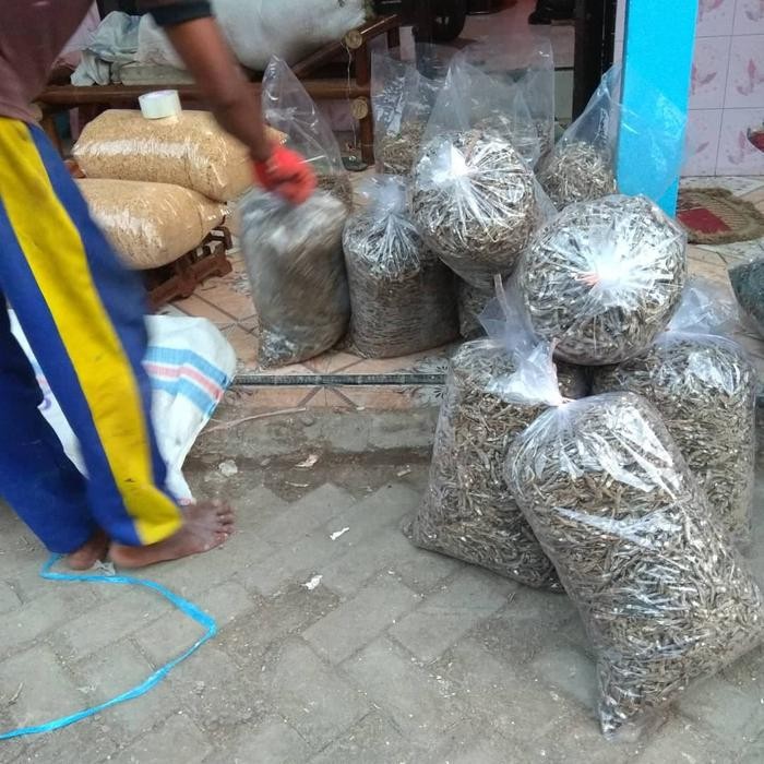 

Udang Rebon Tawar Kering 43rb 1KG Terlaris