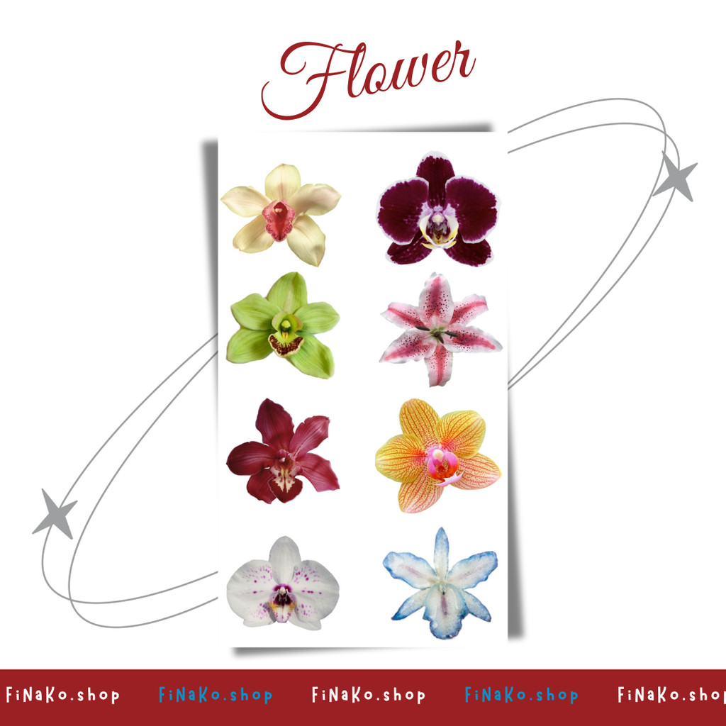 

Stiker Sheet Flower Aesthetic Ins Korea Untuk Dekorasi Scrapbook, Sticker Journaling, Phonecase, Headphone, Stiker Lucu