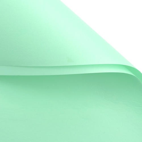 

Kertas cellophane / kertas celopone / kertas cellophone / Kertas Bunga Wrapping Paper ( PER 5 LEMBAR ; size 60x60cm) Full Color Cello - 091 EMERALD