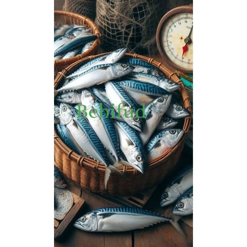 

IKAN KEMBUNG BANJAR 1KG ISI 5 BEST SELLER