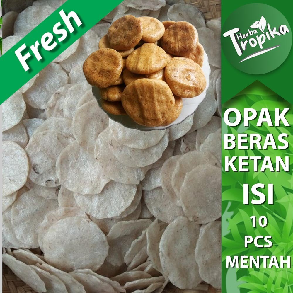 

Opak Ketan Gurih Mentah Kering siap di goreng maupun di panggang kemasan 10 pcs toko herba tropika