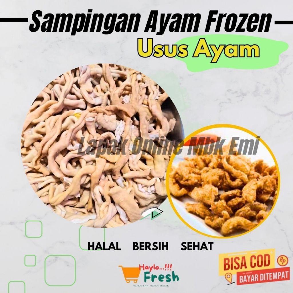 

Usus Ayam
