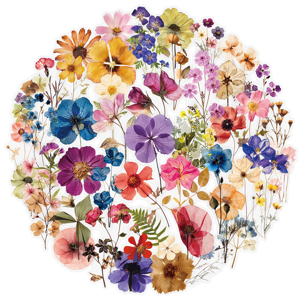 

50PCS Transparent PET Flower Plant Material Stickers Handbooks Tablets Phone Water Cups Decor Stationary Notebook Stickers