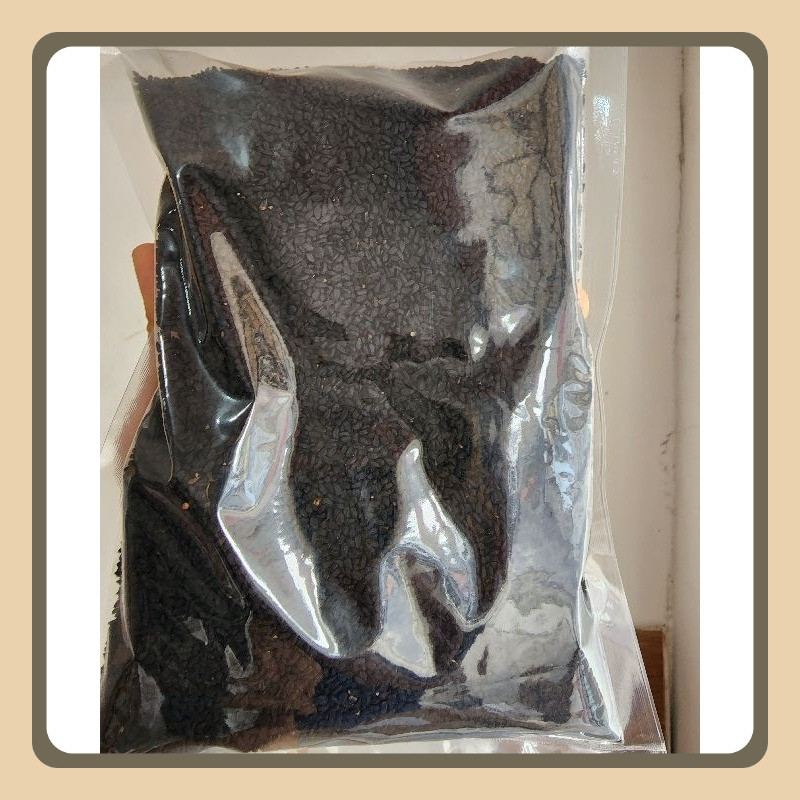 

Jinten hitam 1kg grosir / Habbtussauda 1kg / jinten hitam