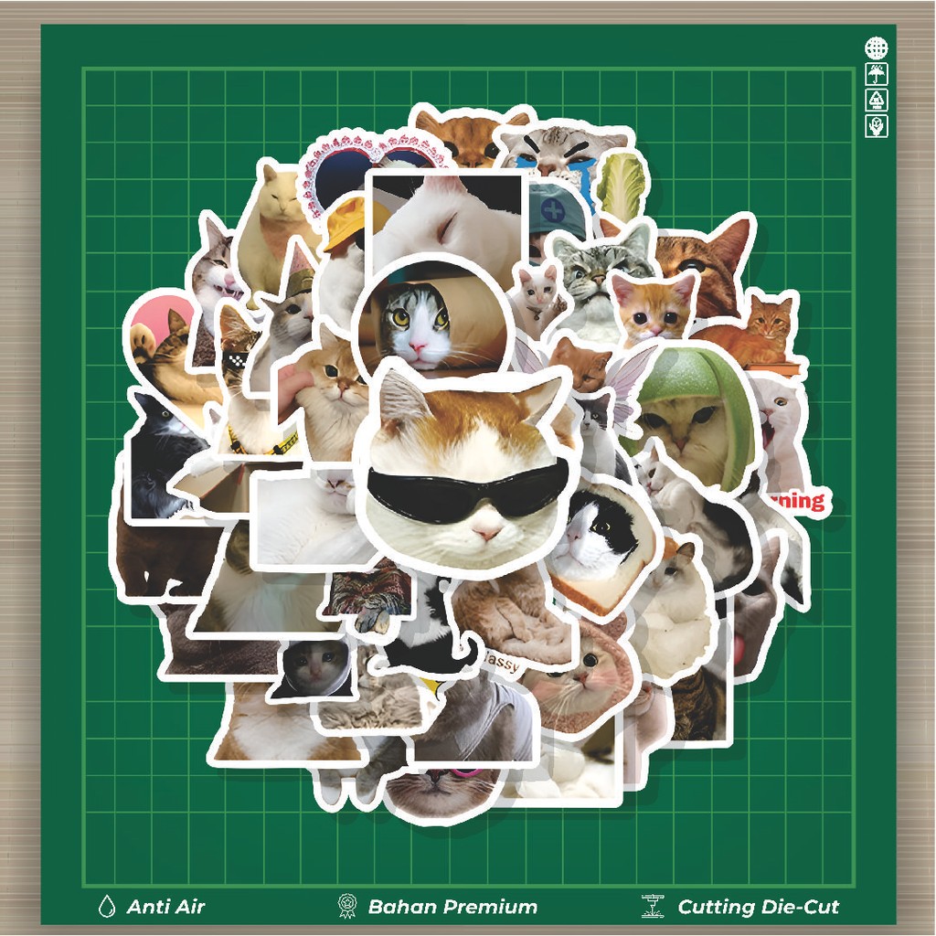 

HOT 50 PCS STIKER Stiker Funny Cats Series [Seri Kucing Lucu] Stiker Fashion Cars Decal Dingin Kartu Album Custom Vinyl Anti Air- Sticker Aesthetic Buku Journal Koper Casing HP Tablet Laptop Helm Motor Botol Minum