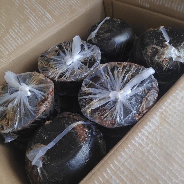 

Promo Gula Batok asli