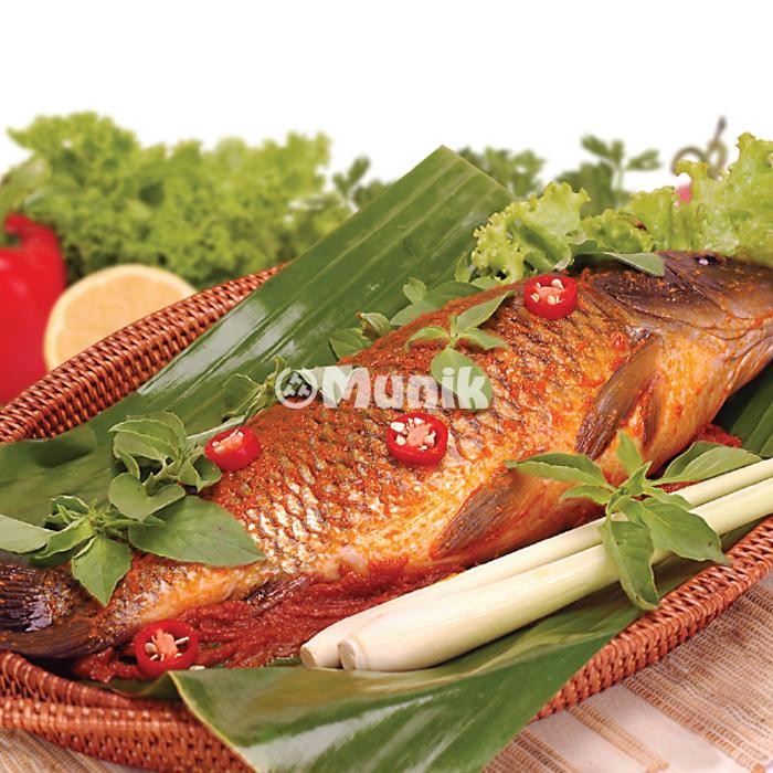 

Promo Bumbu Munik Pepes Ikan - 1000gr