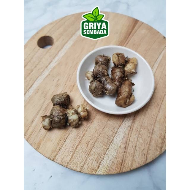 

Kirim Instan Kencur 100g Segar Untuk Masakan Griya Sembada