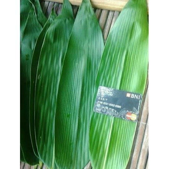

Promo COD Daun Bambu segar Untuk Bungkus Bakcang 150 gram Kezi Herbal